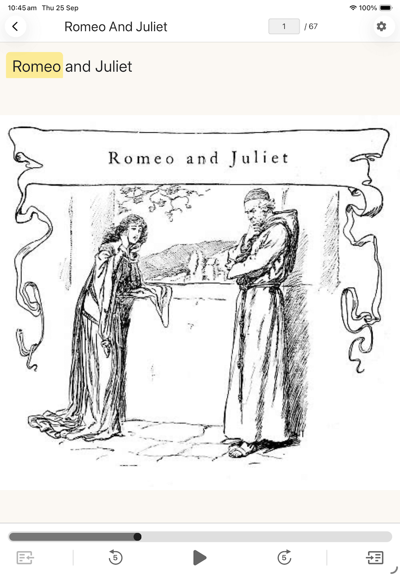 iPad Reading Experience